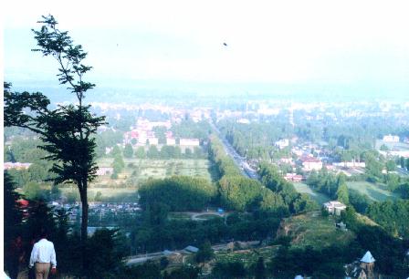 View of Srinagar city from Shankracharya temple